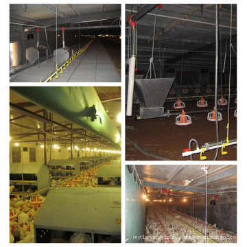 Customized Automatic Equipment in Livestock House with Installation